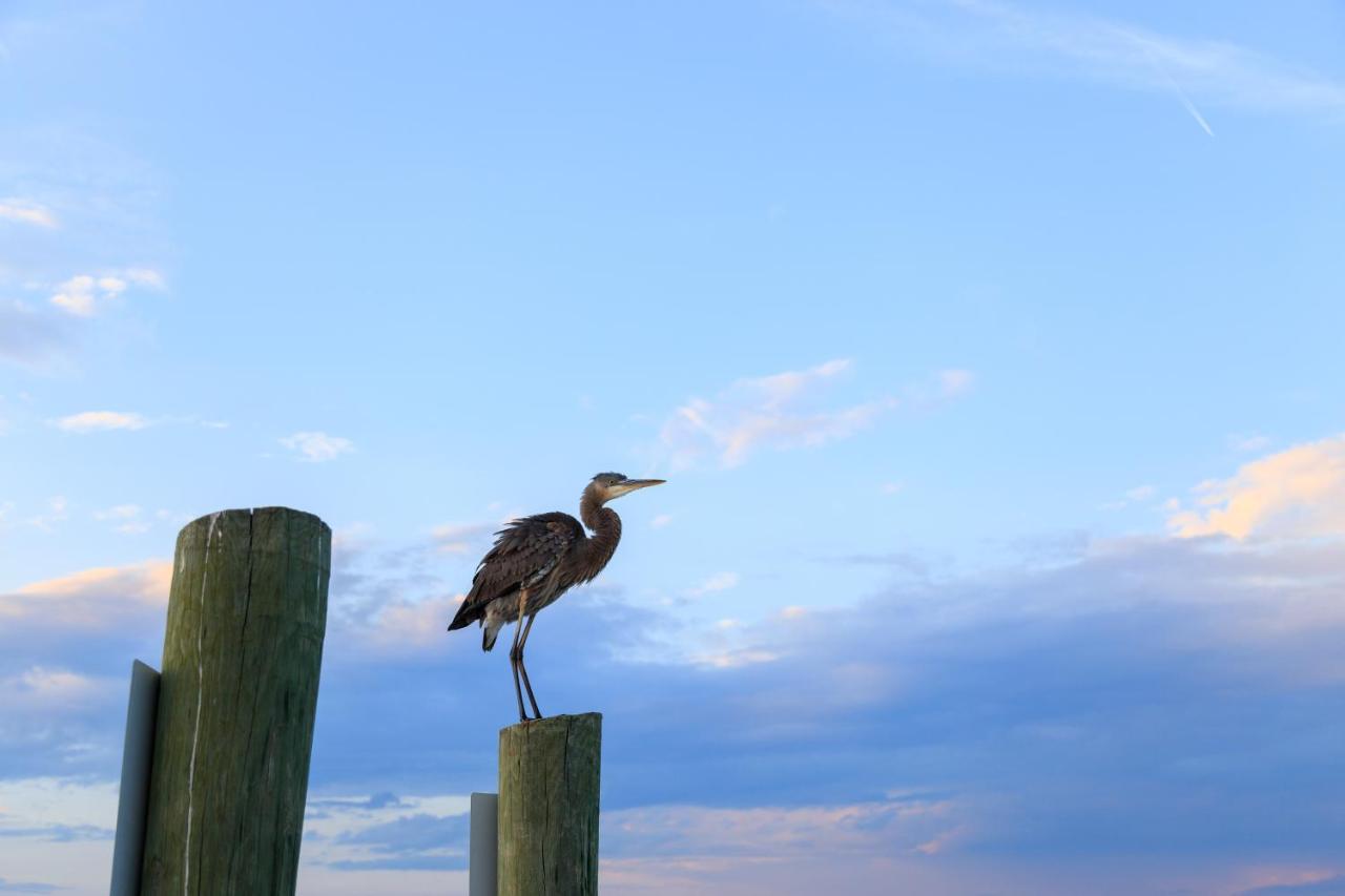 Heritage Villas Hilton Head Island Εξωτερικό φωτογραφία